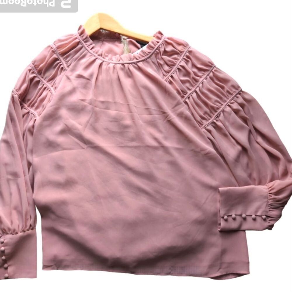 NWT Ann Taylor Women’s Juliet Pleated Sheer Balloon Sleeve Spring Pink Top XL - Picture 2 of 12